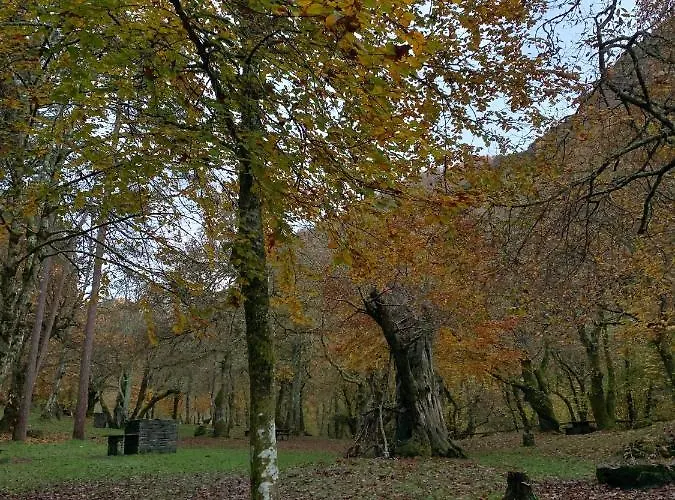 La Nozaleda Infiesto